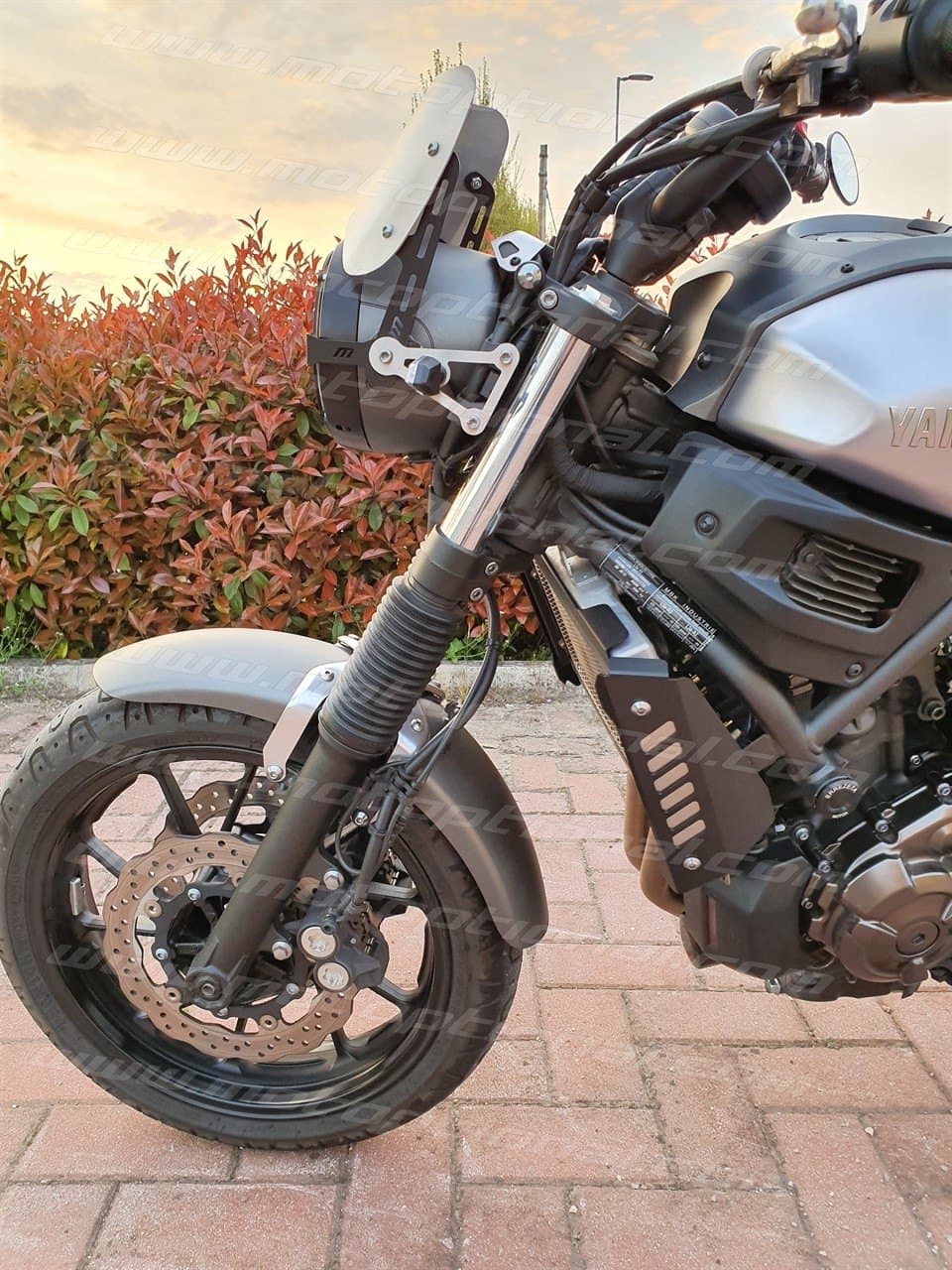Fianchetti protezione radiatore Yamaha XSR 700 2016-2019